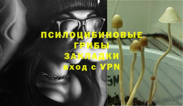 твердый Каменск-Шахтинский