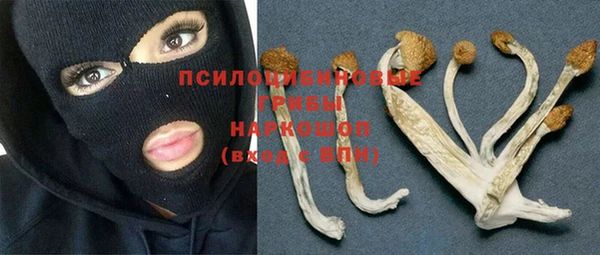а пвп мука Каменногорск