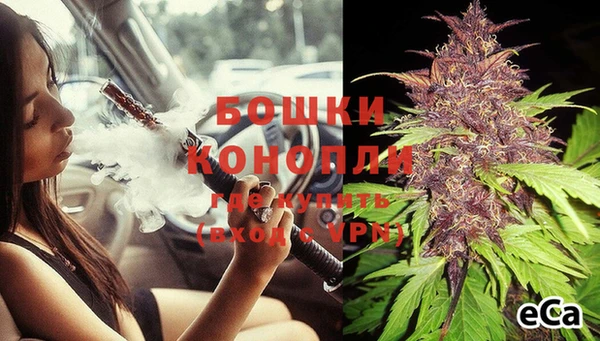 первитин Каменка