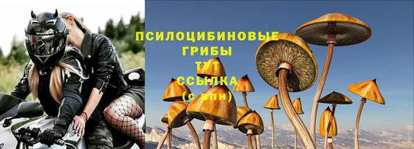 первитин Каменка