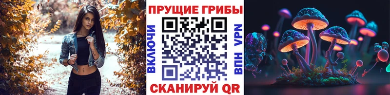Купить где  Макарьев  Галлюциногенные грибы Cubensis 